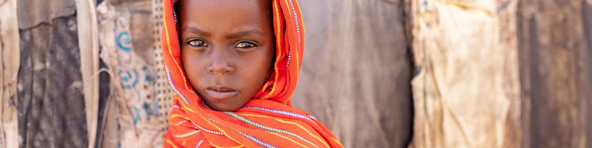 interior  banner image